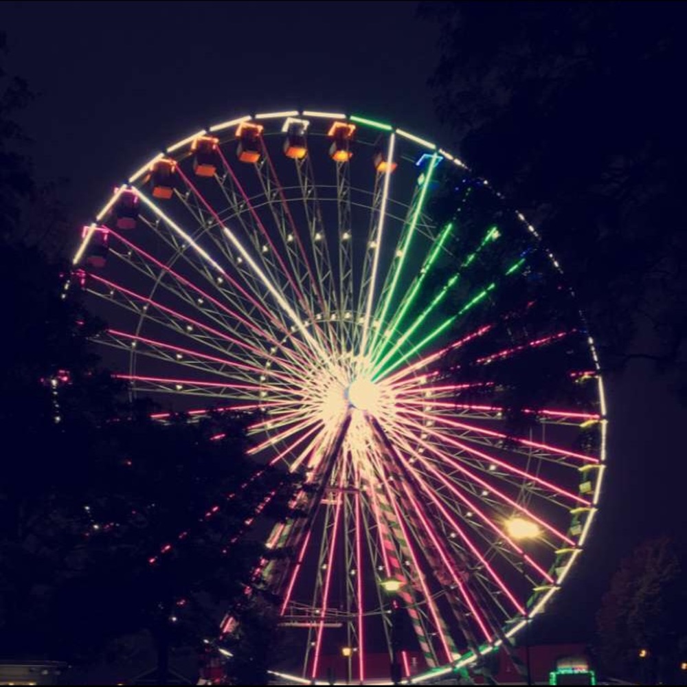 Meet your Posher, Darian